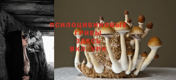 прущие крисы Баксан